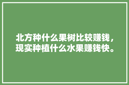 北方种什么果树比较赚钱，现实种植什么水果赚钱快。 水果种植