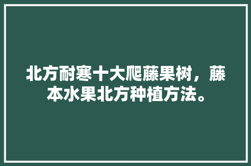 北方耐寒十大爬藤果树，藤本水果北方种植方法。 家禽养殖