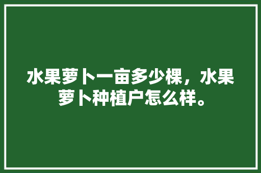 水果萝卜一亩多少棵，水果萝卜种植户怎么样。 水果种植