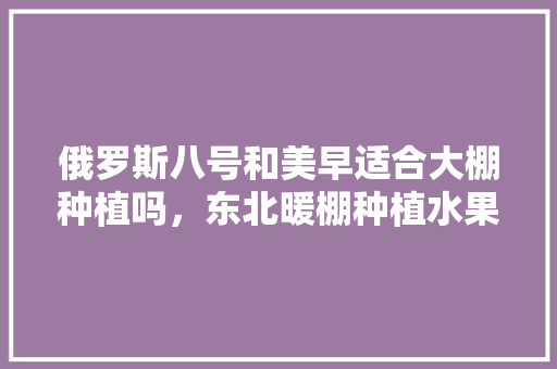 俄罗斯八号和美早适合大棚种植吗，东北暖棚种植水果有哪些。 土壤施肥