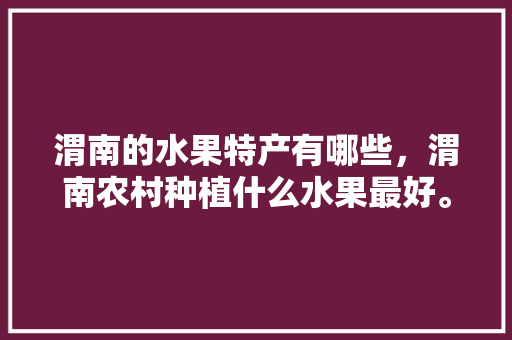 渭南的水果特产有哪些，渭南农村种植什么水果最好。 土壤施肥