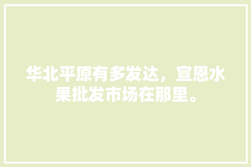 华北平原有多发达，宣恩水果批发市场在那里。 家禽养殖