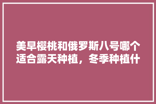 美早樱桃和俄罗斯八号哪个适合露天种植，冬季种植什么水果露天种植。 水果种植