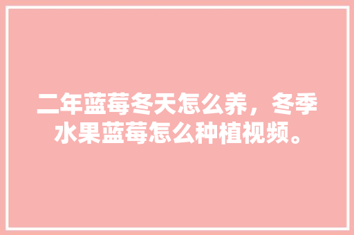 二年蓝莓冬天怎么养，冬季水果蓝莓怎么种植视频。 土壤施肥