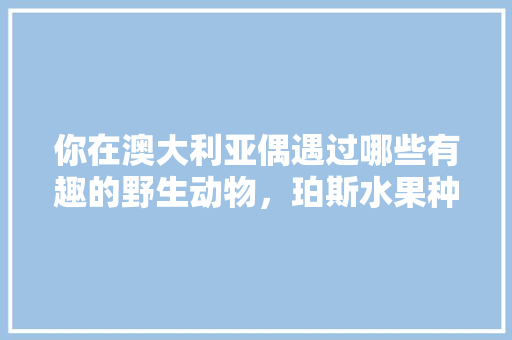 你在澳大利亚偶遇过哪些有趣的野生动物，珀斯水果种植基地。 畜牧养殖