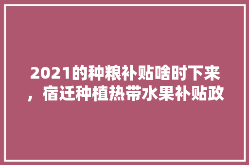 2021的种粮补贴啥时下来，宿迁种植热带水果补贴政策。 水果种植