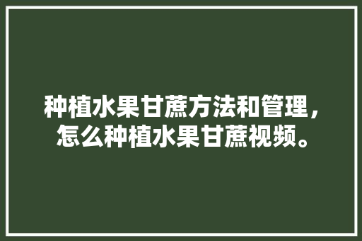 种植水果甘蔗方法和管理，怎么种植水果甘蔗视频。 水果种植