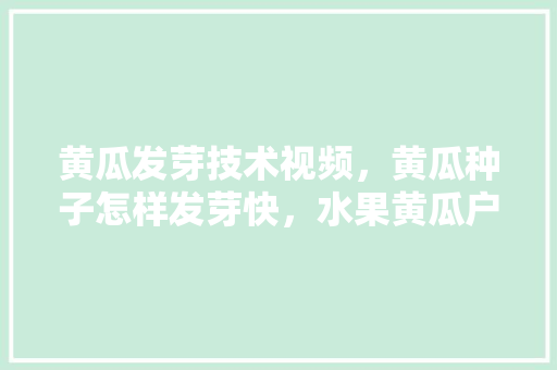 黄瓜发芽技术视频，黄瓜种子怎样发芽快，水果黄瓜户外种植视频教程。 水果种植