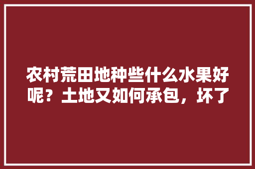 农村荒田地种些什么水果好呢？土地又如何承包，坏了的水果怎么种植出来的。 蔬菜种植