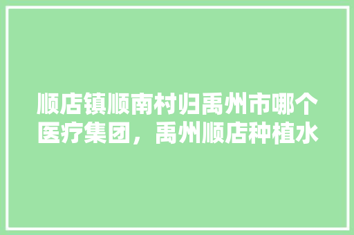 顺店镇顺南村归禹州市哪个医疗集团，禹州顺店种植水果基地。 家禽养殖