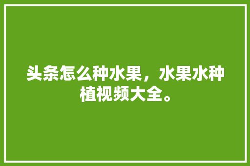 头条怎么种水果，水果水种植视频大全。 畜牧养殖