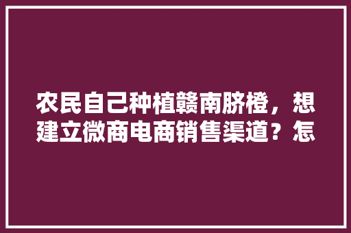 农民自己种植赣南脐橙，想建立微商电商销售渠道？怎么建立，赣南水果种植推广方案。 蔬菜种植