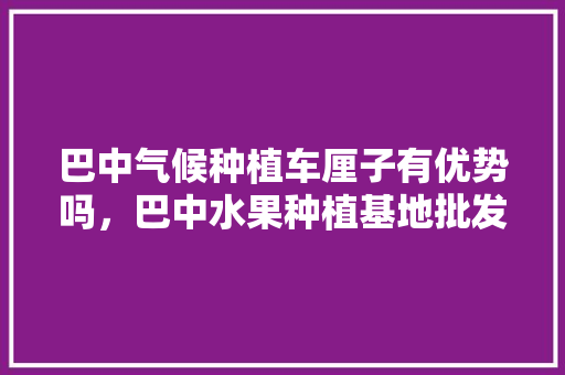 巴中气候种植车厘子有优势吗，巴中水果种植基地批发市场在哪。 土壤施肥