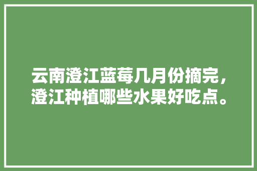 云南澄江蓝莓几月份摘完，澄江种植哪些水果好吃点。 水果种植