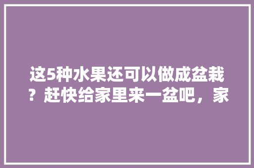 这5种水果还可以做成盆栽？赶快给家里来一盆吧，家花盆种植的水果有哪些。 土壤施肥