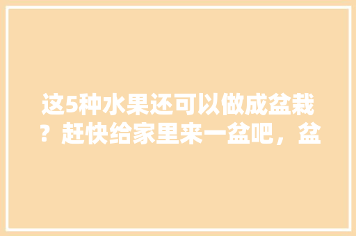 这5种水果还可以做成盆栽？赶快给家里来一盆吧，盆栽各种水果种植方法图片。 蔬菜种植