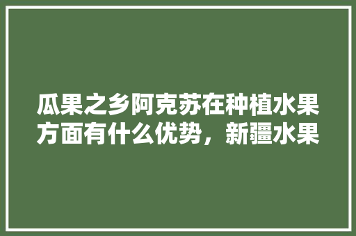 瓜果之乡阿克苏在种植水果方面有什么优势，新疆水果阿克苏红枣种植基地。 水果种植