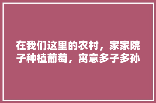 在我们这里的农村，家家院子种植葡萄，寓意多子多孙，还可以种哪些植物？有何寓意，农村家庭种植水果树违法吗。 土壤施肥