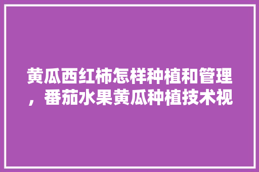 黄瓜西红柿怎样种植和管理，番茄水果黄瓜种植技术视频。 蔬菜种植