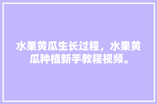 水果黄瓜生长过程，水果黄瓜种植新手教程视频。 水果种植