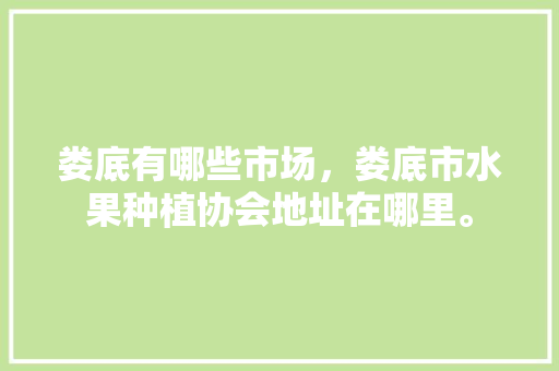 娄底有哪些市场，娄底市水果种植协会地址在哪里。 蔬菜种植