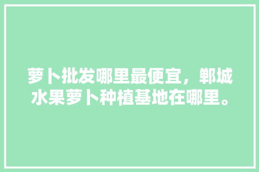 萝卜批发哪里最便宜，郸城水果萝卜种植基地在哪里。 土壤施肥