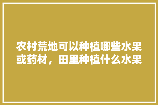 农村荒地可以种植哪些水果或药材，田里种植什么水果最好吃。 蔬菜种植