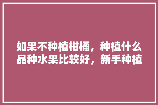 如果不种植柑橘，种植什么品种水果比较好，新手种植什么水果好呢。 如果不种植柑橘，种植什么品种水果比较好，新手种植什么水果好呢。 蔬菜种植