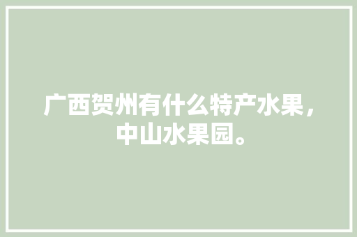 广西贺州有什么特产水果，中山水果园。 土壤施肥