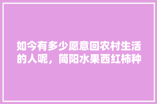 如今有多少愿意回农村生活的人呢，简阳水果西红柿种植基地在哪里。 如今有多少愿意回农村生活的人呢，简阳水果西红柿种植基地在哪里。 水果种植