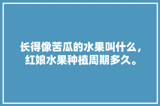 长得像苦瓜的水果叫什么，红娘水果种植周期多久。 蔬菜种植