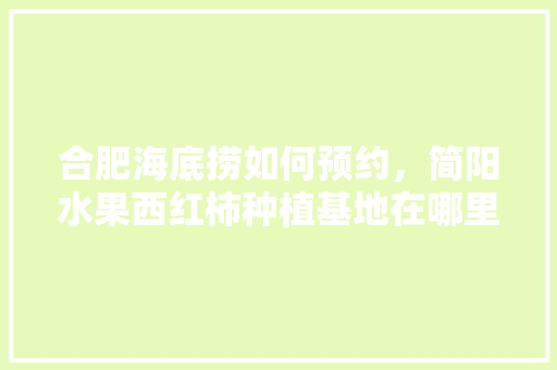 合肥海底捞如何预约，简阳水果西红柿种植基地在哪里。 合肥海底捞如何预约，简阳水果西红柿种植基地在哪里。 蔬菜种植