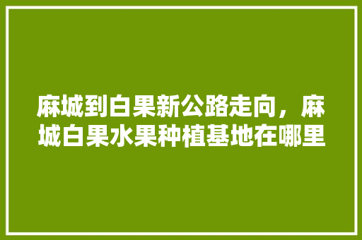 麻城到白果新公路走向，麻城白果水果种植基地在哪里。 蔬菜种植