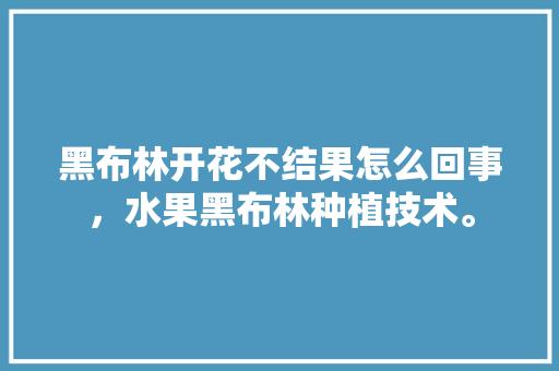 黑布林开花不结果怎么回事，水果黑布林种植技术。 畜牧养殖