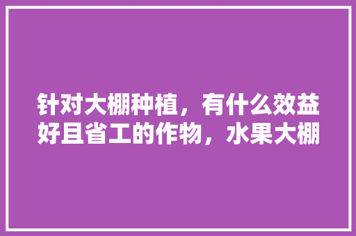 针对大棚种植，有什么效益好且省工的作物，水果大棚种植什么好呢。 蔬菜种植