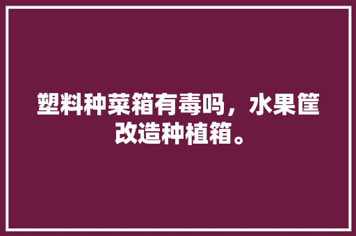 塑料种菜箱有毒吗，水果筐改造种植箱。 塑料种菜箱有毒吗，水果筐改造种植箱。 畜牧养殖