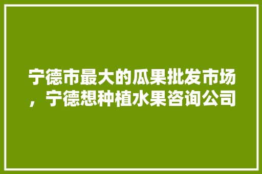 宁德市最大的瓜果批发市场，宁德想种植水果咨询公司。 畜牧养殖