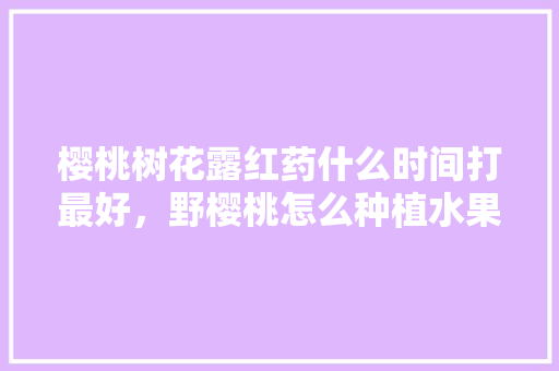 樱桃树花露红药什么时间打最好，野樱桃怎么种植水果的。 蔬菜种植