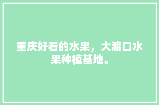 重庆好看的水果，大渡口水果种植基地。 蔬菜种植