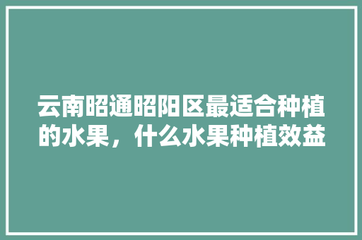 云南昭通昭阳区最适合种植的水果，什么水果种植效益最好的。 水果种植