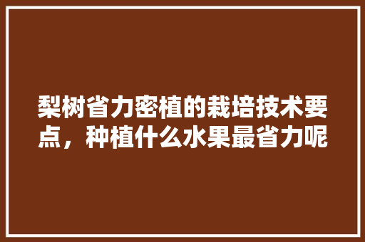 梨树省力密植的栽培技术要点，种植什么水果最省力呢。 土壤施肥