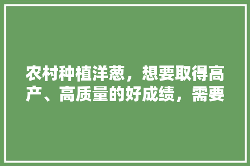 农村种植洋葱，想要取得高产、高质量的好成绩，需要做好哪些方面的工作，水果洋葱丰产种植技术视频。 土壤施肥