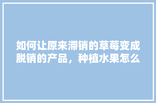 如何让原来滞销的草莓变成脱销的产品，种植水果怎么处理草莓视频。 土壤施肥