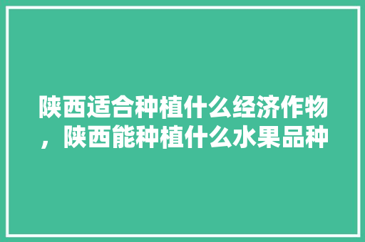 陕西适合种植什么经济作物，陕西能种植什么水果品种。 蔬菜种植