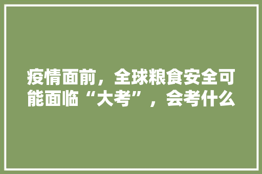 疫情面前，全球粮食安全可能面临“大考”，会考什么，武冈水果玉米种植面积。 土壤施肥