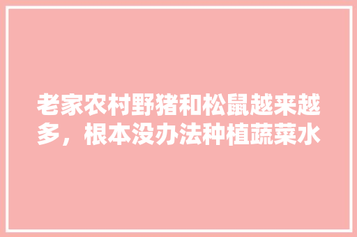 老家农村野猪和松鼠越来越多，根本没办法种植蔬菜水果怎么办，家庭种植水果蔬菜技术要点。 家禽养殖