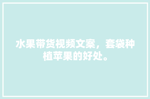 水果带货视频文案，套袋种植苹果的好处。 水果种植