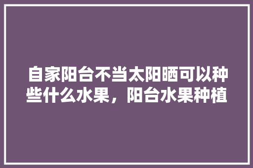 自家阳台不当太阳晒可以种些什么水果，阳台水果种植布置图片。 蔬菜种植