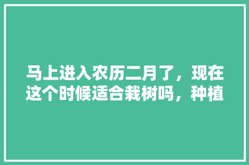 马上进入农历二月了，现在这个时候适合栽树吗，种植植物水果有哪些。 土壤施肥