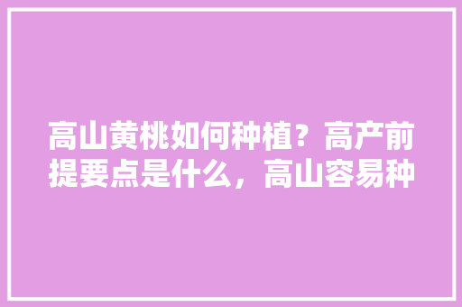 高山黄桃如何种植？高产前提要点是什么，高山容易种植的水果有哪些。 土壤施肥